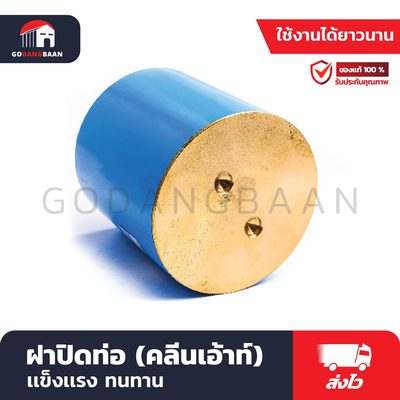 ฝาปิดท่อ (คลีนเอ้าท์)