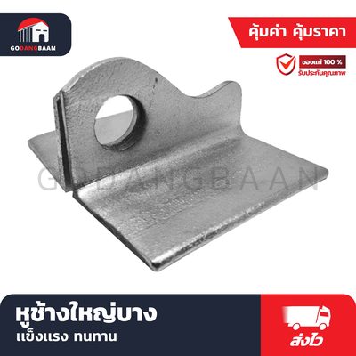 หูช้างใหญ่บาง