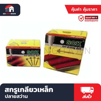สกรูเกลียวเหล็ก ปลายสว่าน