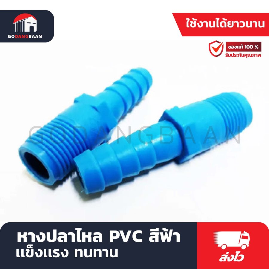 หางปลาไหล