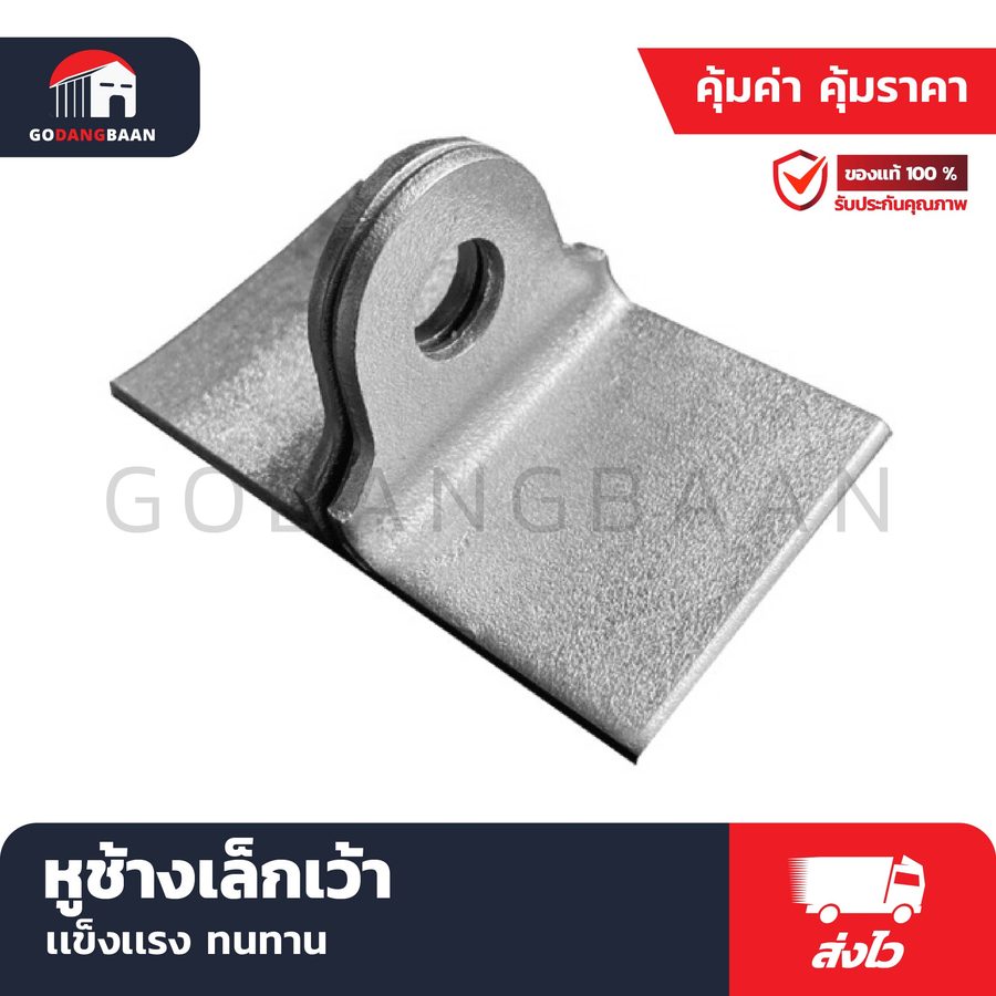 หูช้างเล็กเว้า