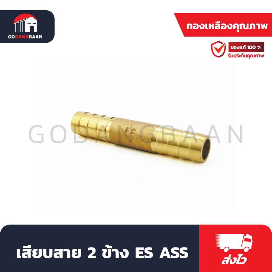 เสียบสาย 2 ข้าง ES ASS